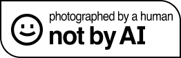 Photographed by a human, not by AI